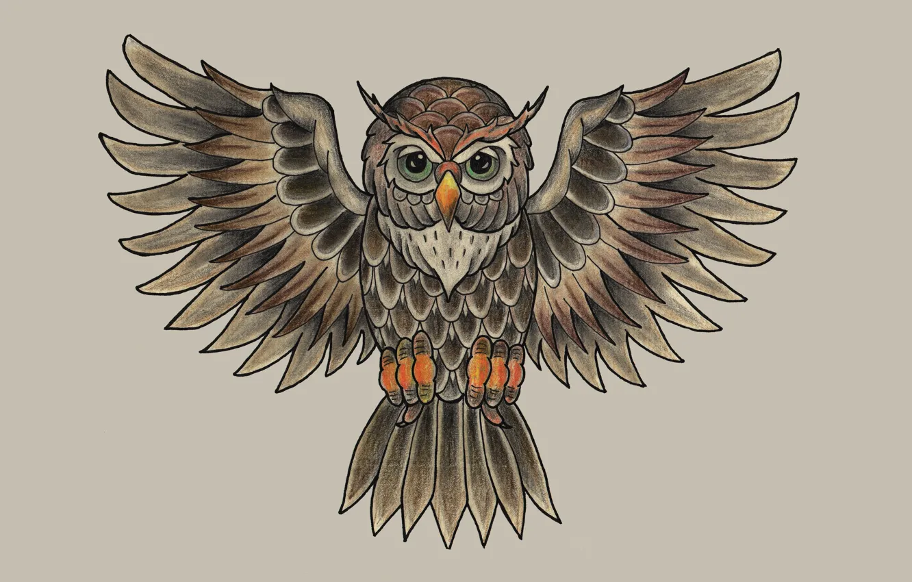 Photo wallpaper owl, bird, painting, light background, owl