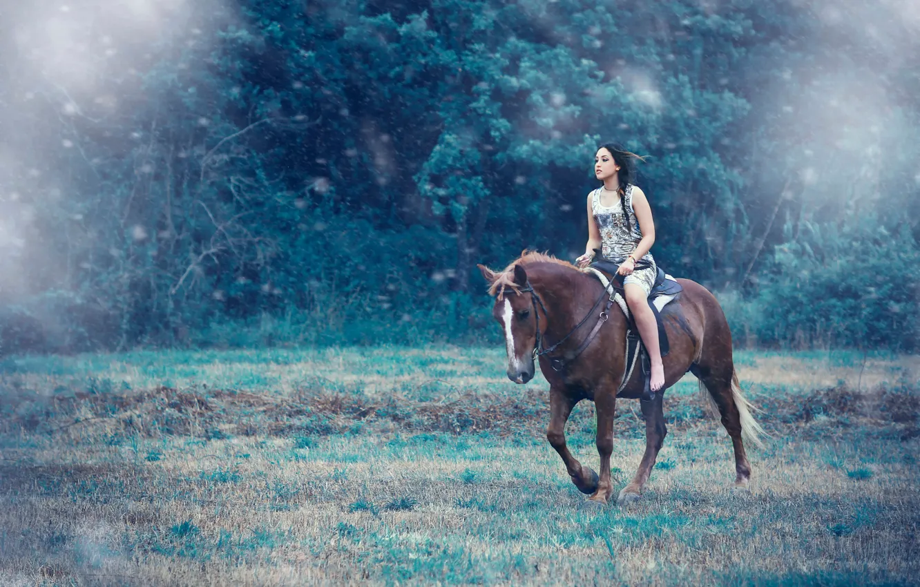 Photo wallpaper girl, horse, top, Alessandro Di Cicco, Away from you