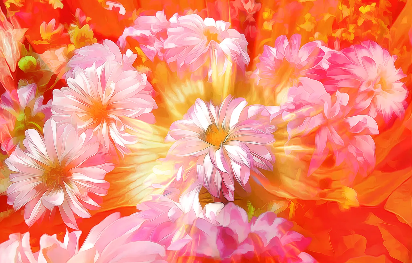 Photo wallpaper macro, flowers, petals, garden
