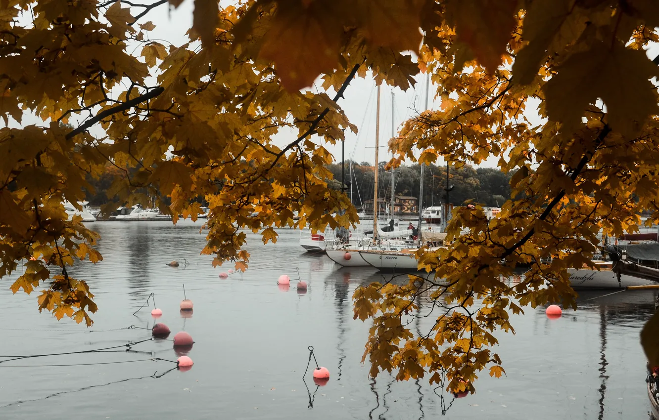 Photo wallpaper autumn, the city, lake, river, yacht, Ship