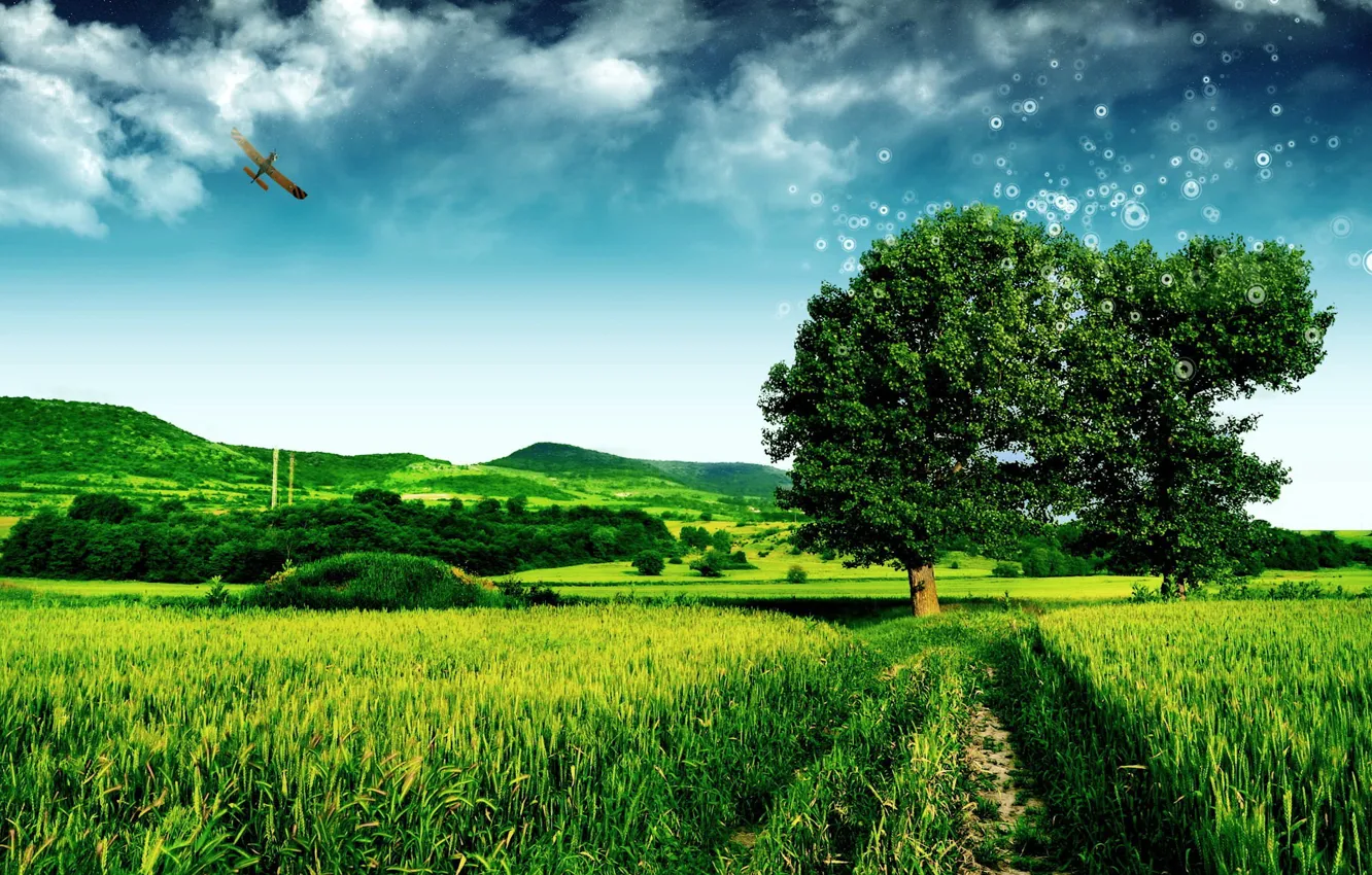 Photo wallpaper field, trees, green