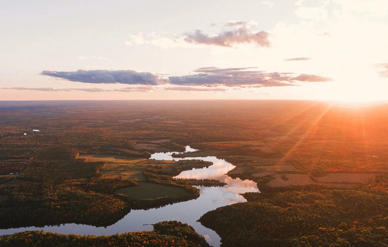 Photo wallpaper forest, the sky, the sun, clouds, trees, landscape, sunset, nature