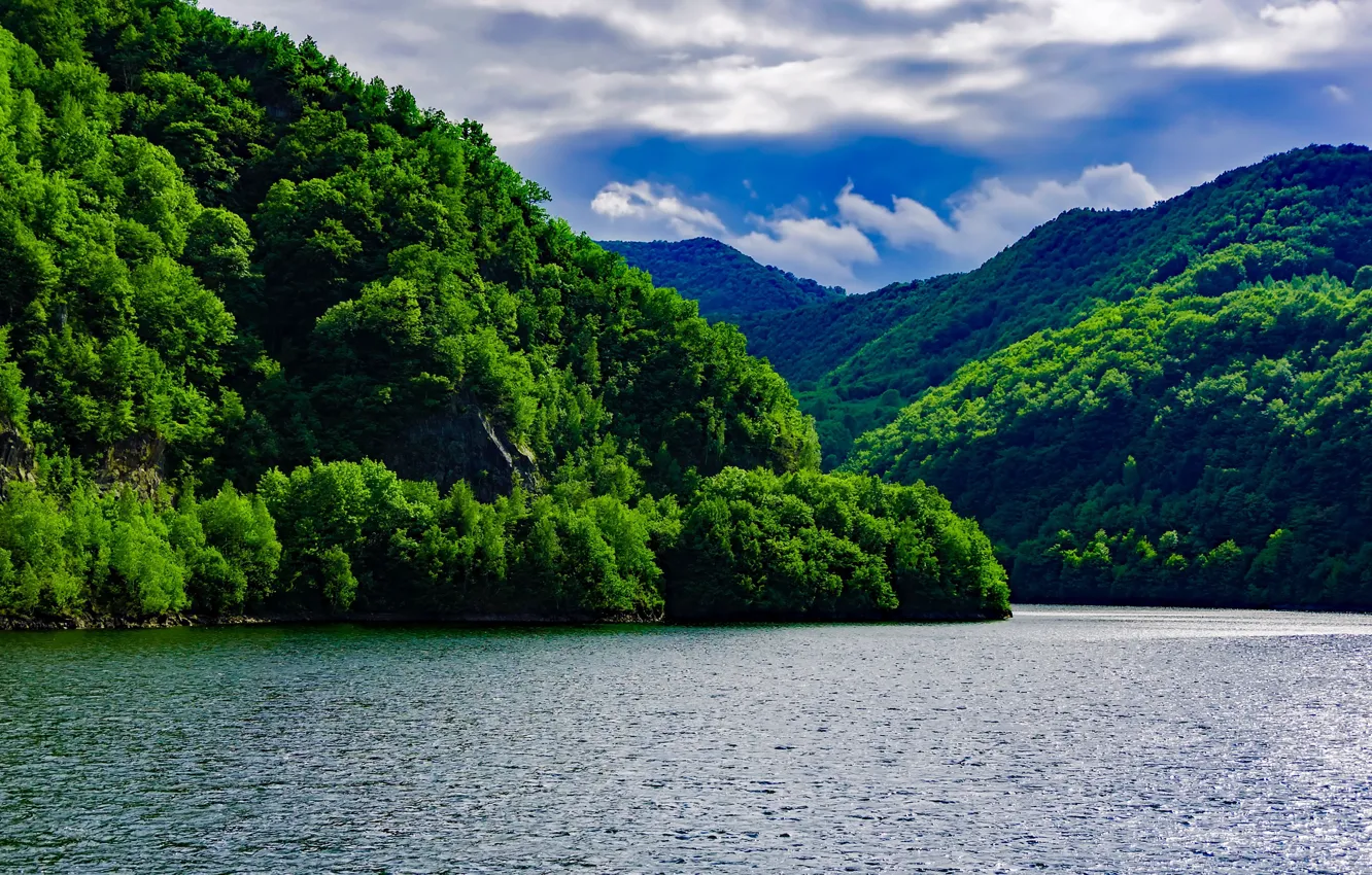 Photo wallpaper greens, forest, the sky, clouds, trees, mountains, river, Romania