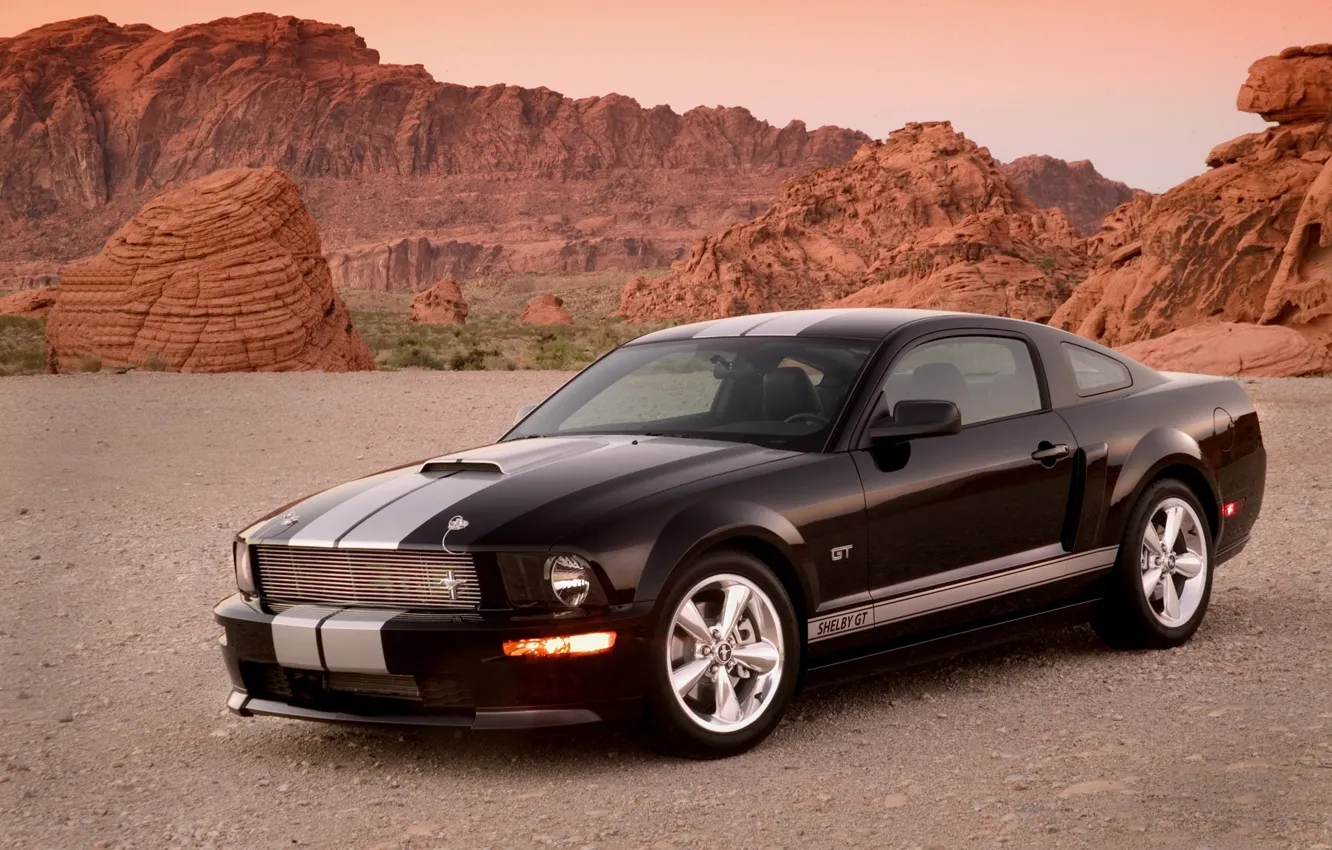 Photo wallpaper Shelby, mustang, gt500