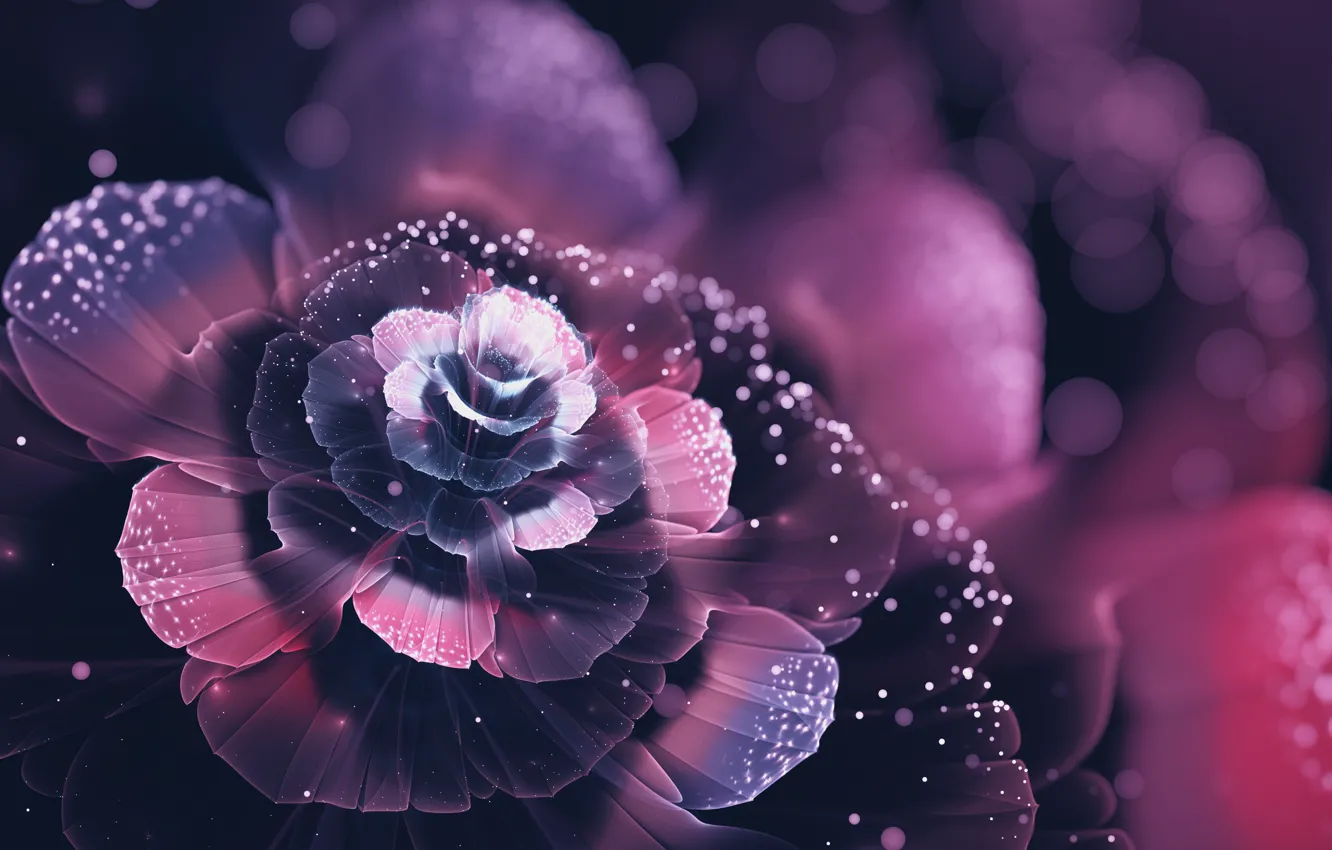 Photo wallpaper flower, abstraction, beauty, petals