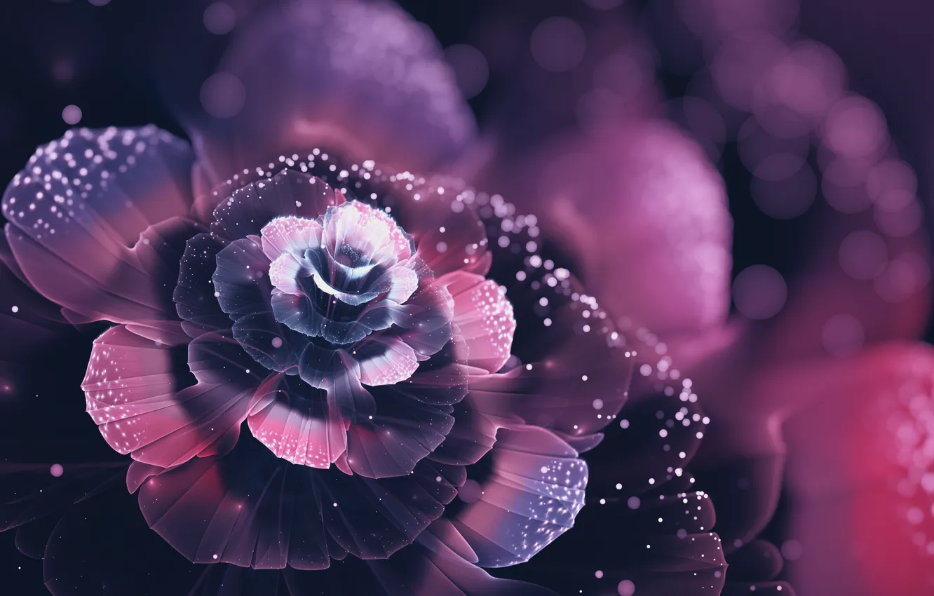 Photo wallpaper flowers, abstraction, beauty, petals