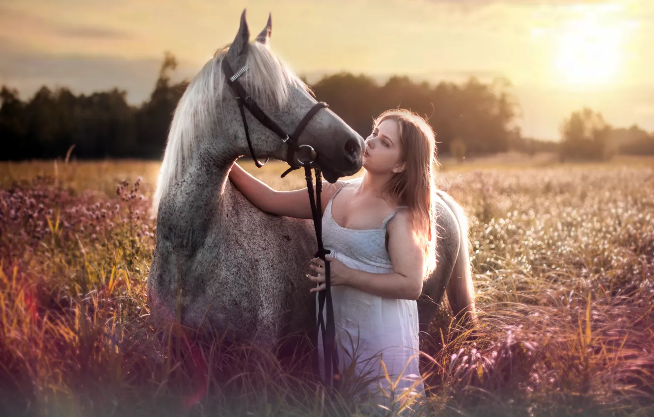 Photo wallpaper summer, girl, horse