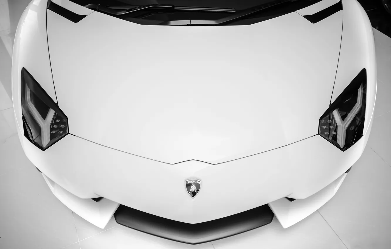 Photo wallpaper white, lights, Lamborghini, supercar, white, supercar, front, aventador