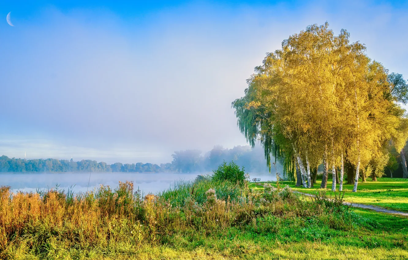 Photo wallpaper autumn, the sky, grass, trees, yellow, fog, lake, blue