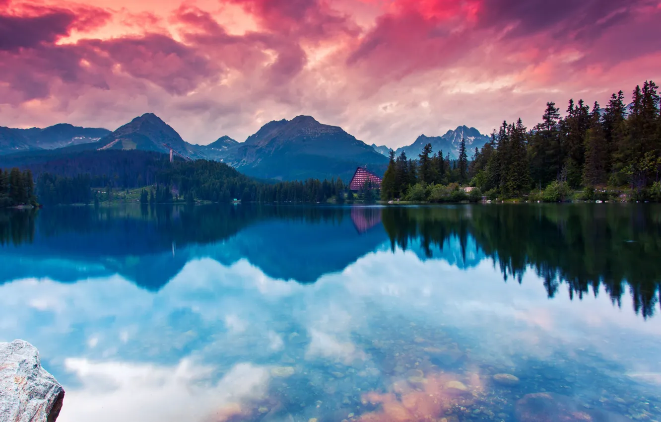 Photo wallpaper forest, twilight, sky, trees, landscape, nature, sunset, water