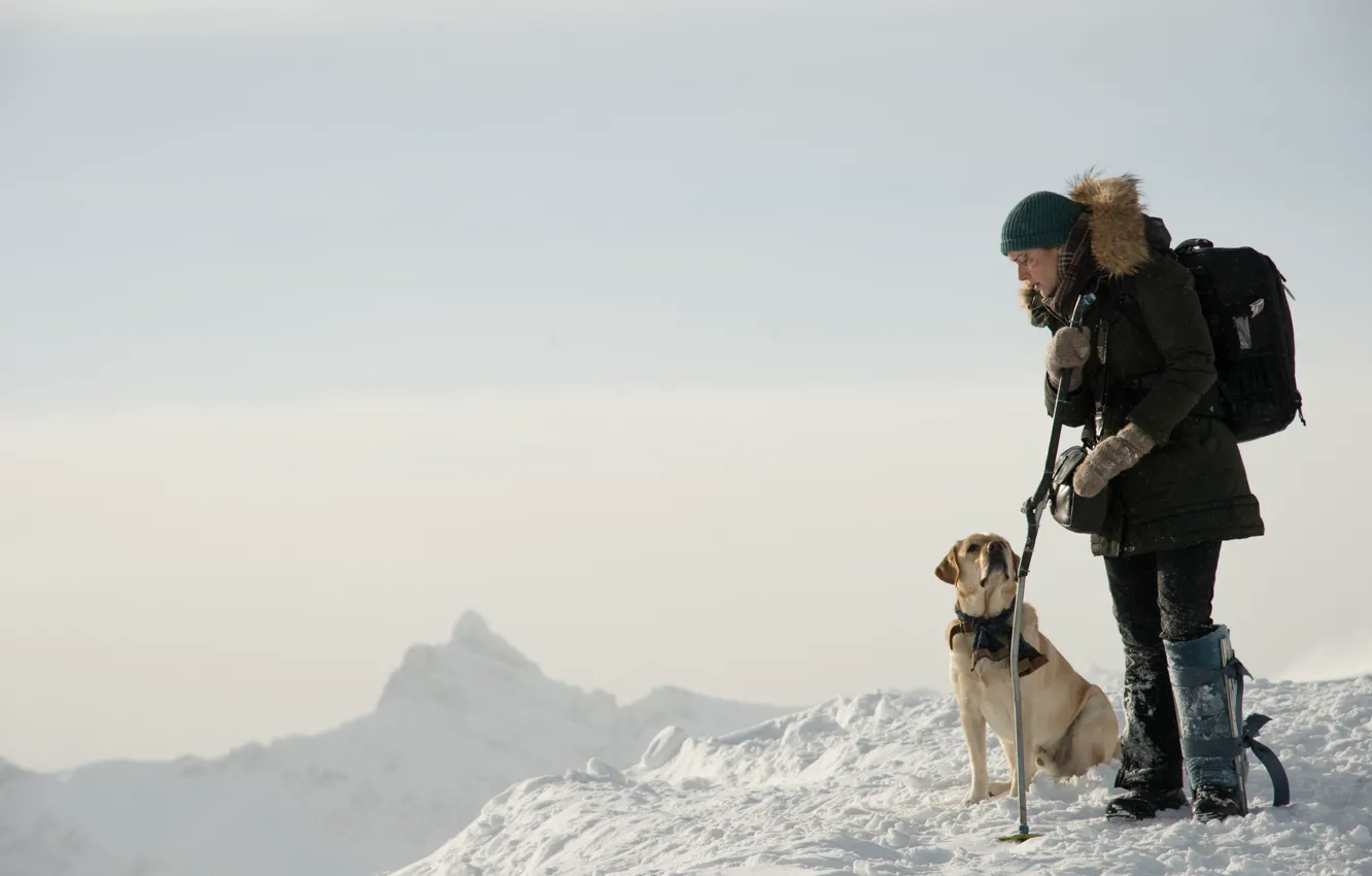 Photo wallpaper cinema, dog, snow, movie, film, Kate Winslet, The Mountain Between Us