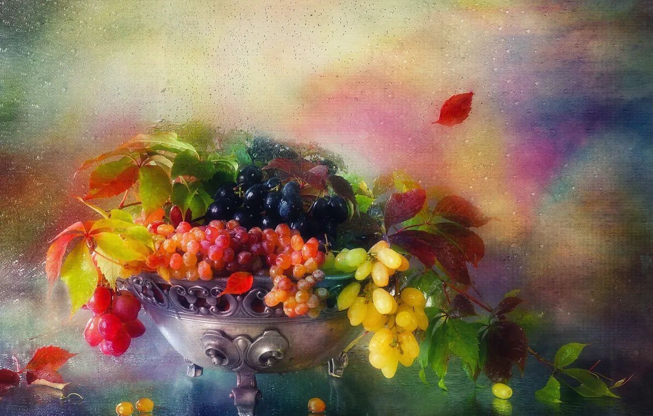 Photo wallpaper leaves, water, drops, branches, berries, grapes, vase, still life