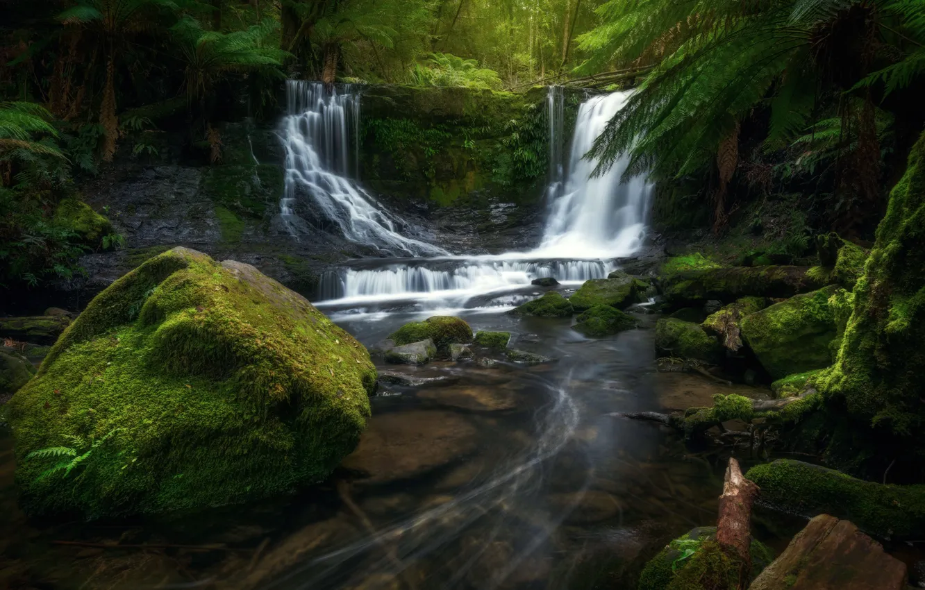 Photo wallpaper forest, stones, waterfall