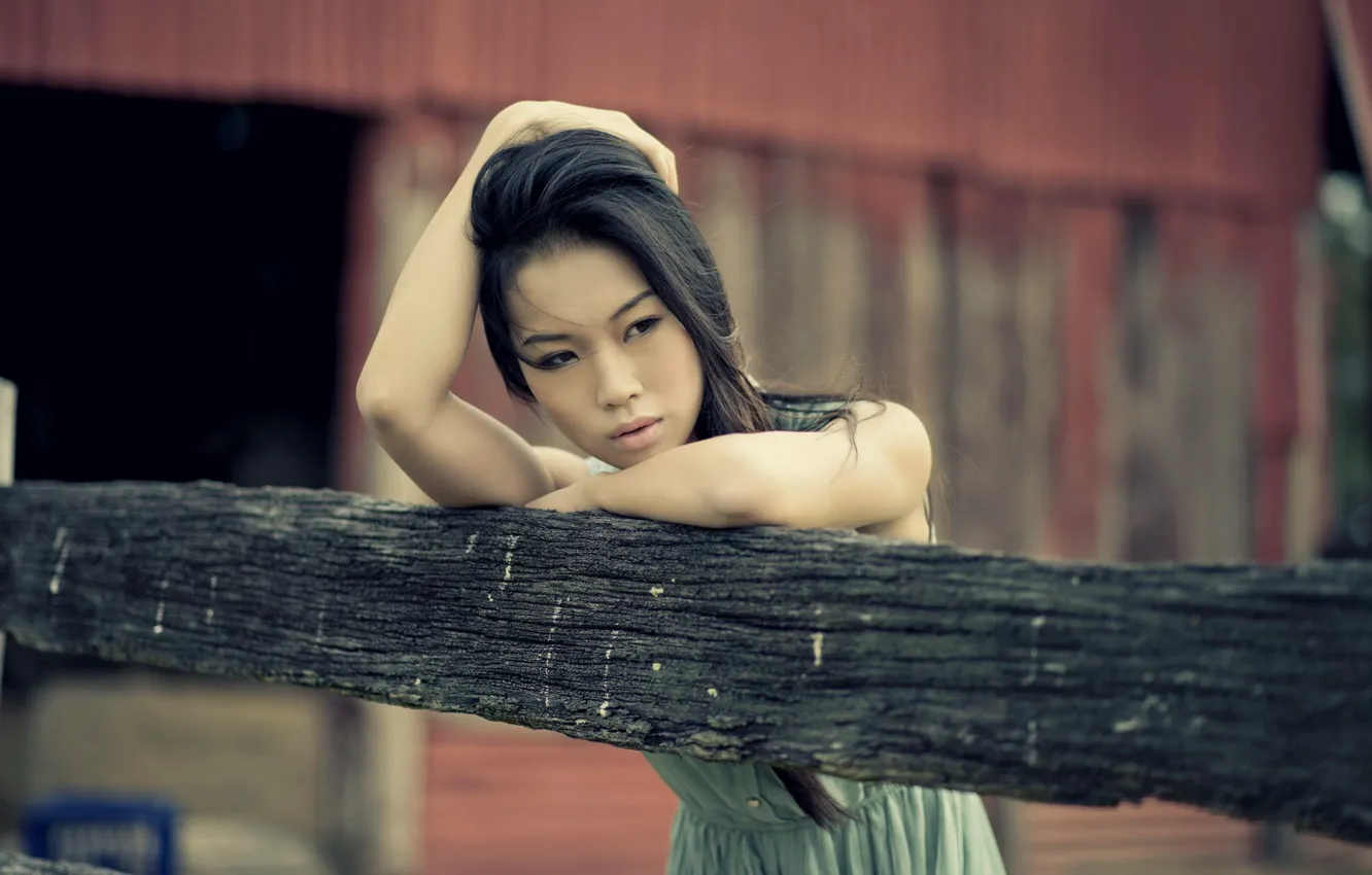 Photo wallpaper Girl, Asian, Beauty, Outside, Log