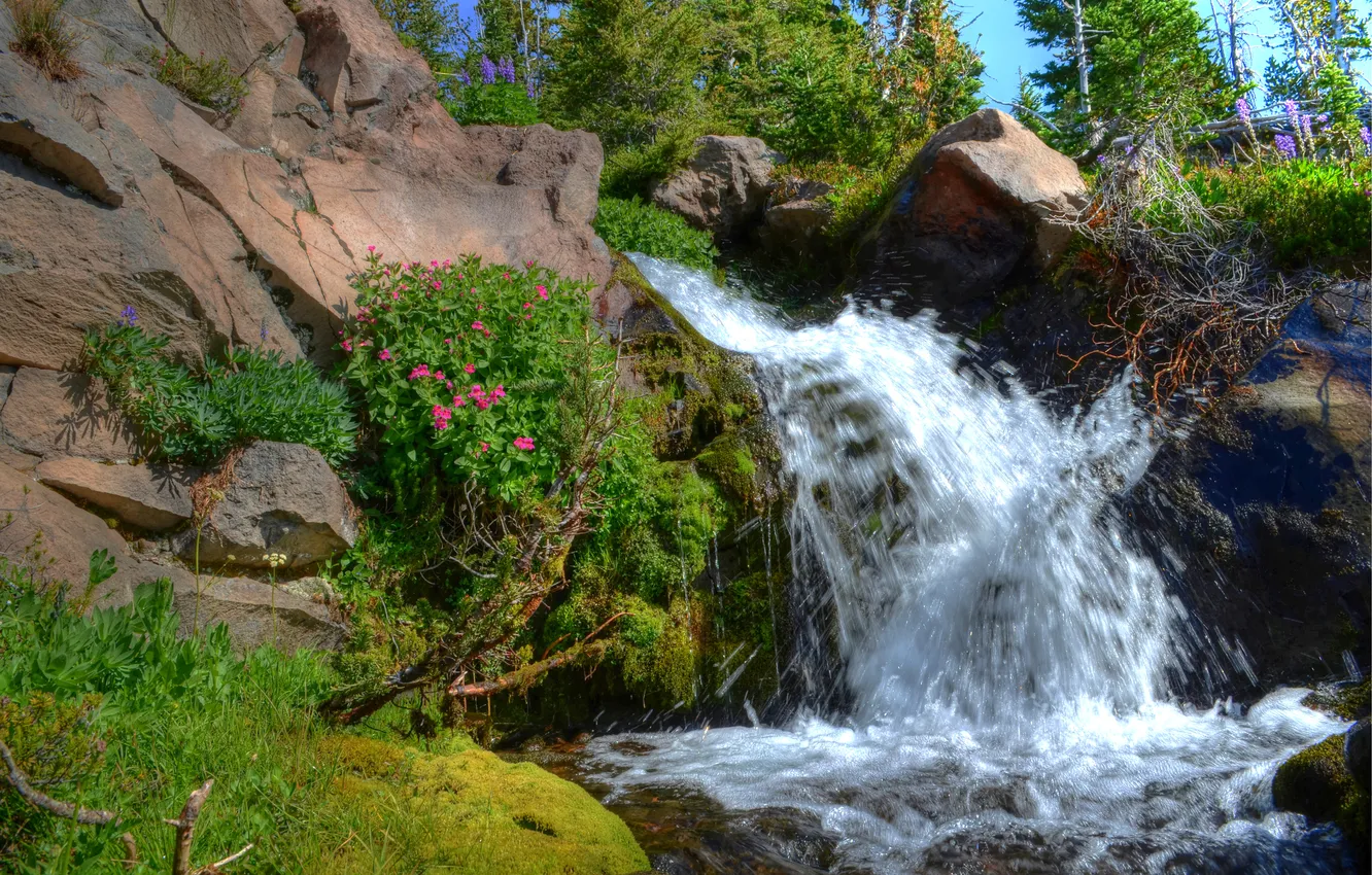 Photo wallpaper the sky, flowers, river, stones, rocks, waterfall, stream