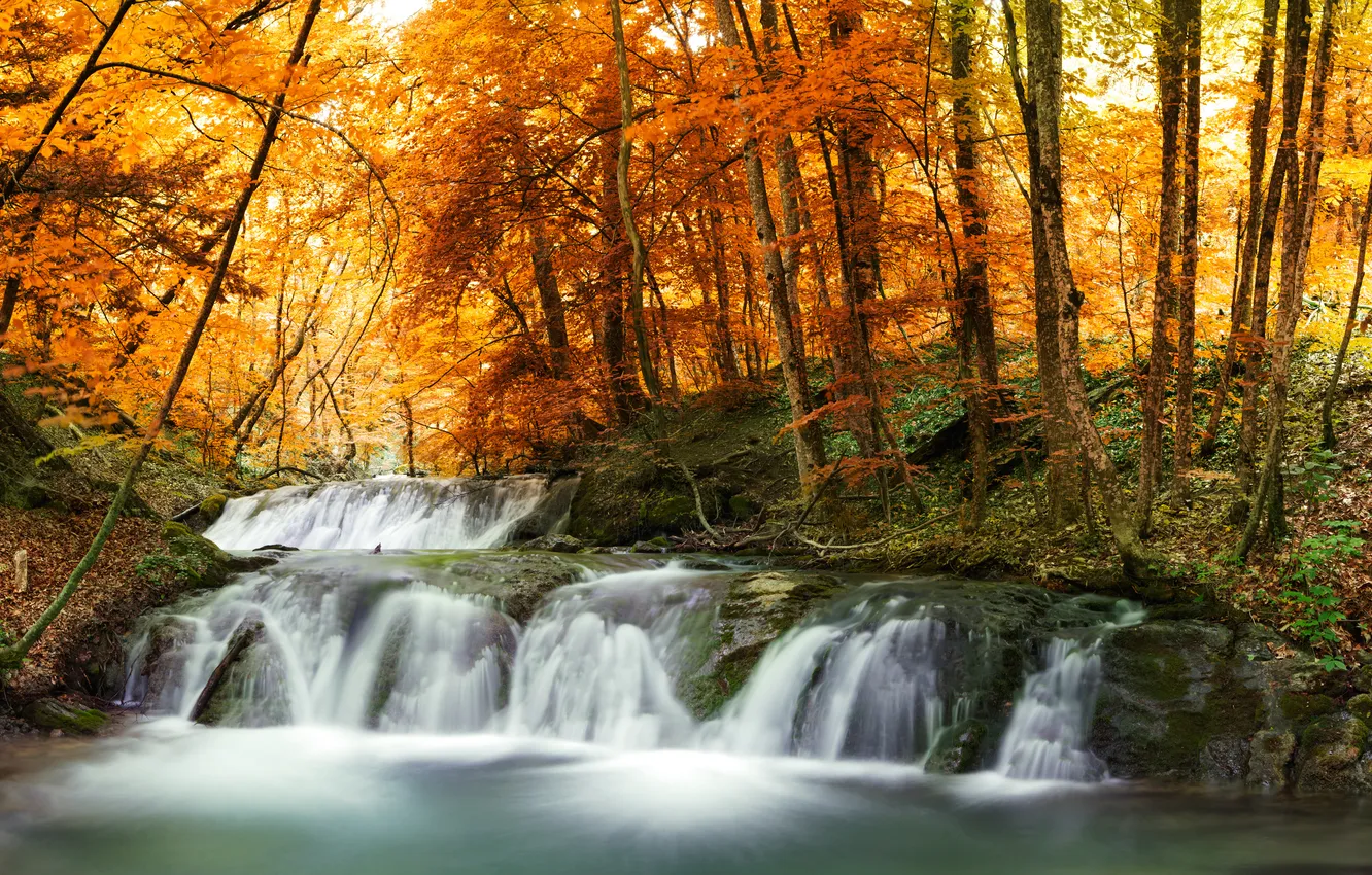 Photo wallpaper autumn, forest, trees, landscape, nature, river, waterfall, stream