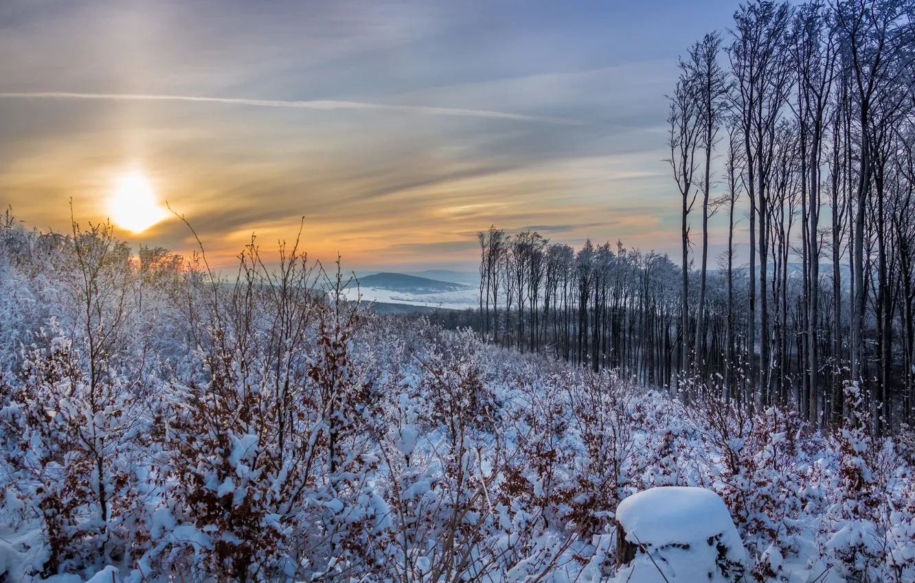 Photo wallpaper winter, sunset, nature