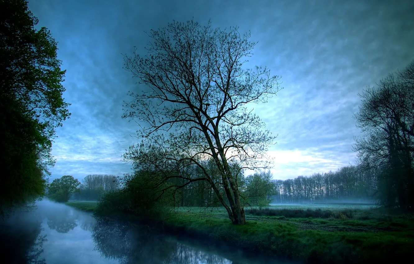 Photo wallpaper clouds, trees, fog, river, morning