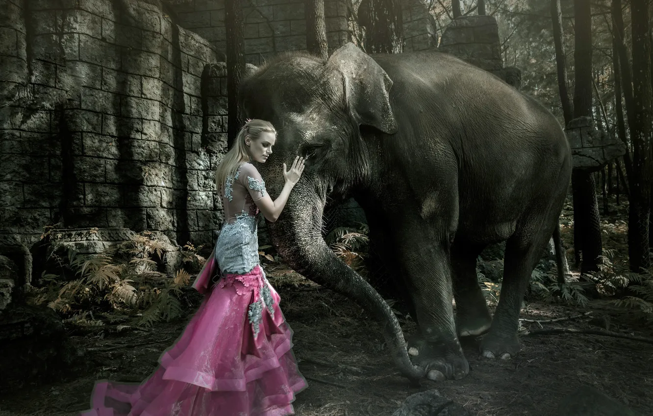 Photo wallpaper girl, elephant, the situation