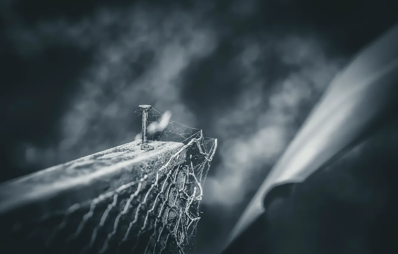 Photo wallpaper macro, background, nails