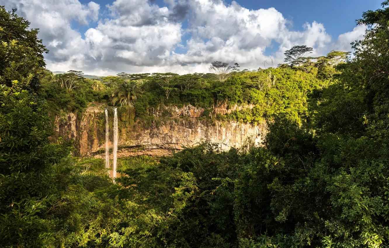 Photo wallpaper greens, forest, the sky, the sun, clouds, trees, tropics, rocks