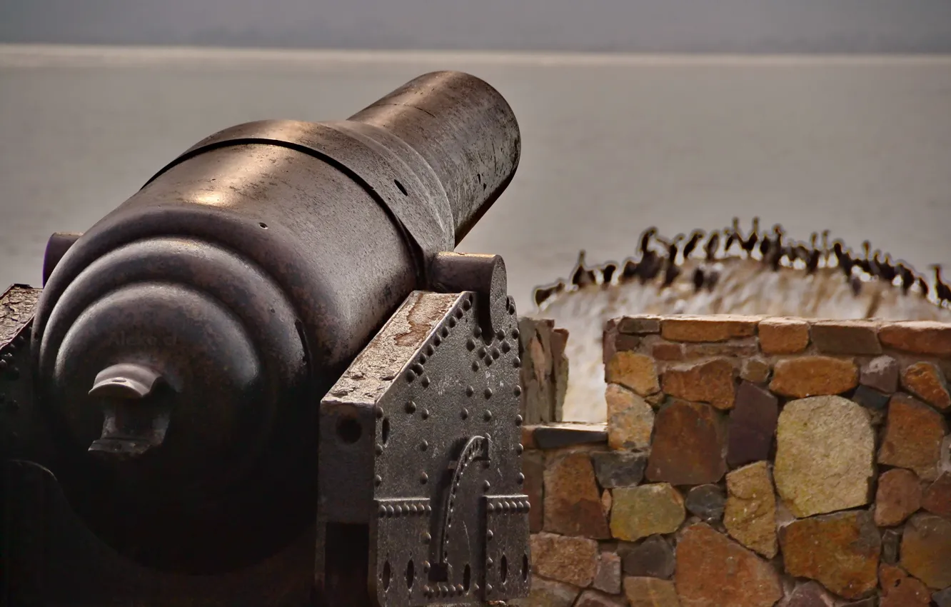 Photo wallpaper weapons, gun, gun