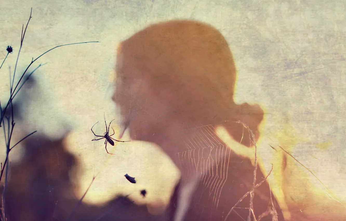 Photo wallpaper girl, style, web, spider