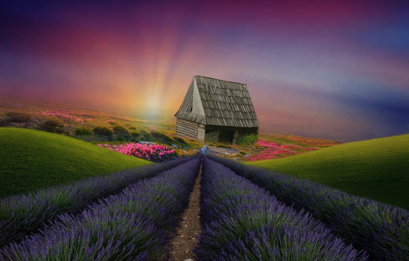 Photo wallpaper landscape, flowers, house, hills, vegetation, meadows