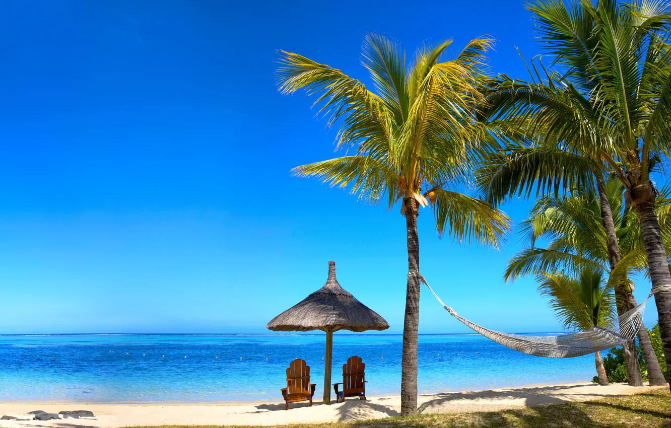 Photo wallpaper sand, sea, beach, palm trees, shore, summer, beach, sea