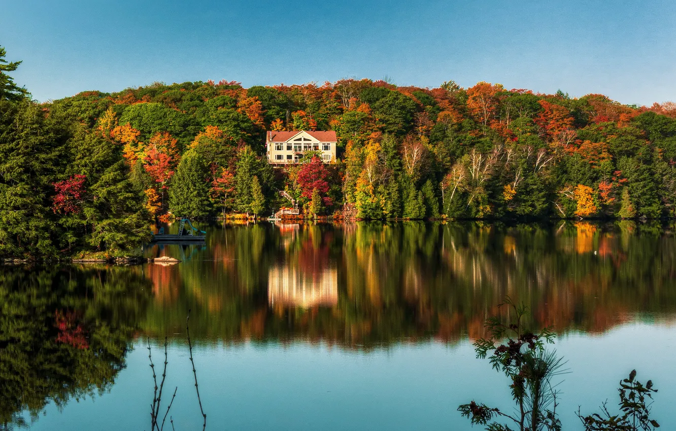 Photo wallpaper autumn, forest, lake, reflection, home