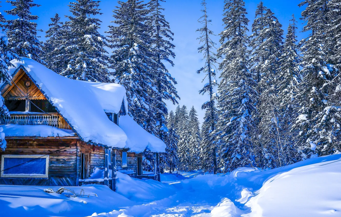 Photo wallpaper winter, road, forest, snow, trees, house, Russia, Khabarovsk Krai