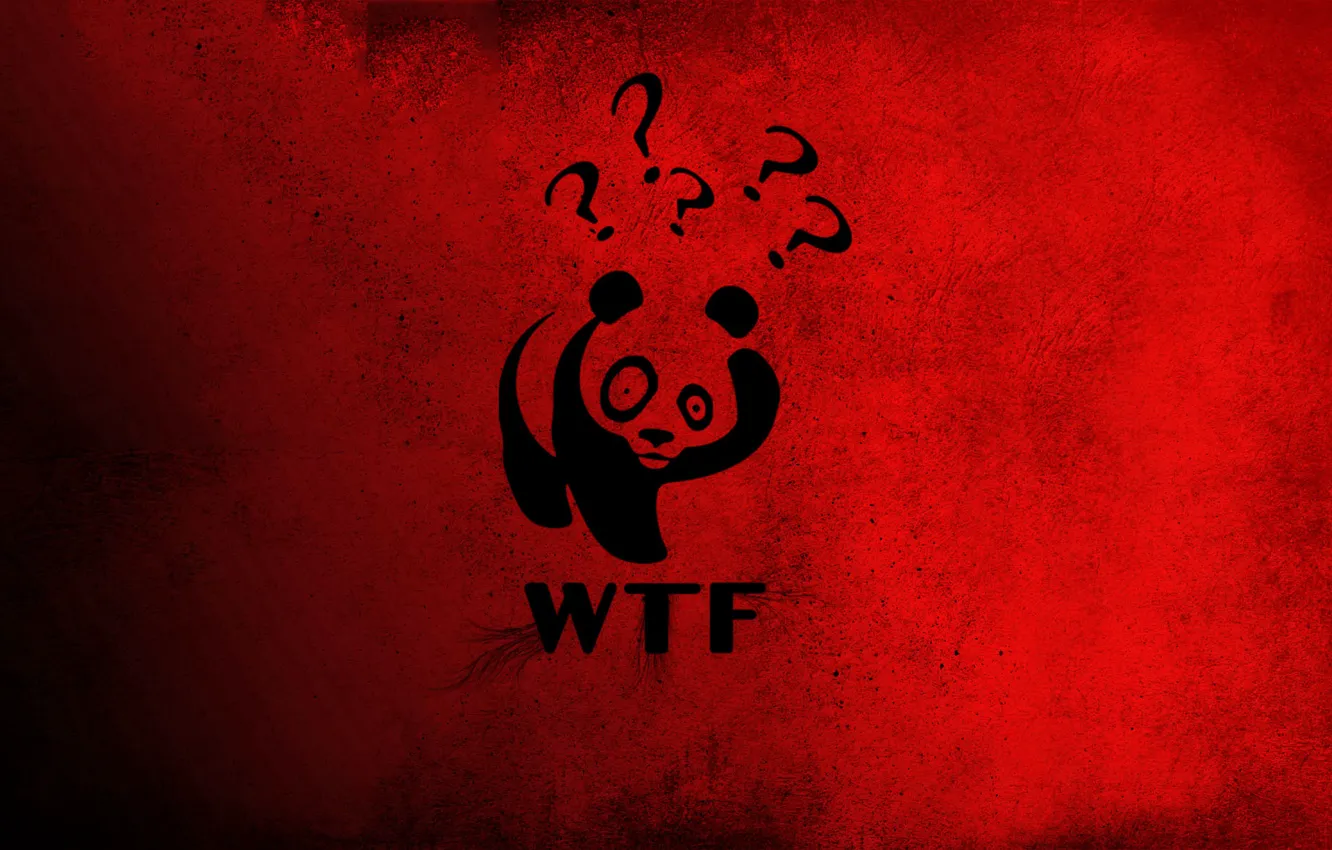 Photo wallpaper red, Panda, China, Winnie The Pooh, wtf, the question mark, big eyes.
