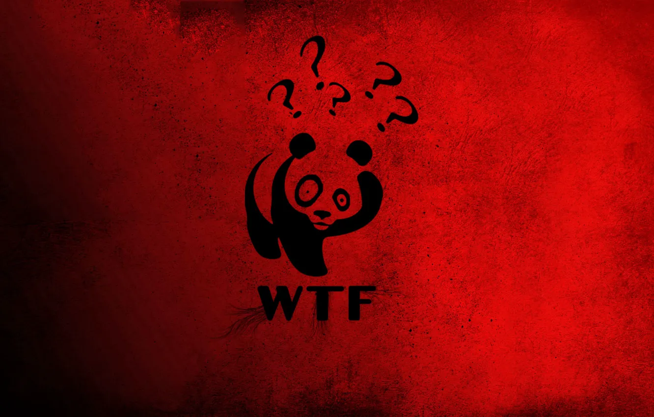 Photo wallpaper red, Panda, China, Winnie The Pooh, the question mark, big eyes., WTF