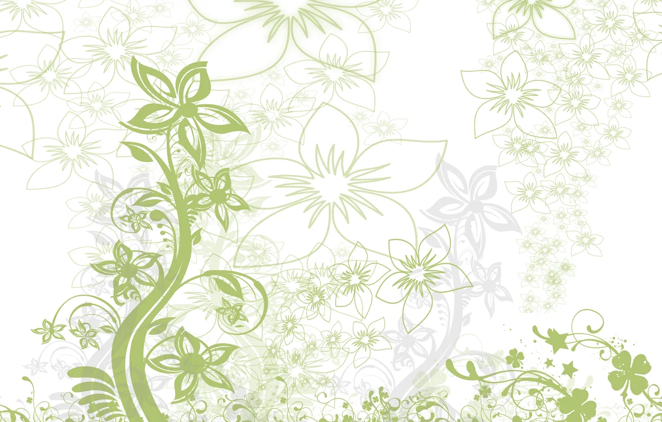 Photo wallpaper flowers, vector, texture, curls, leaves