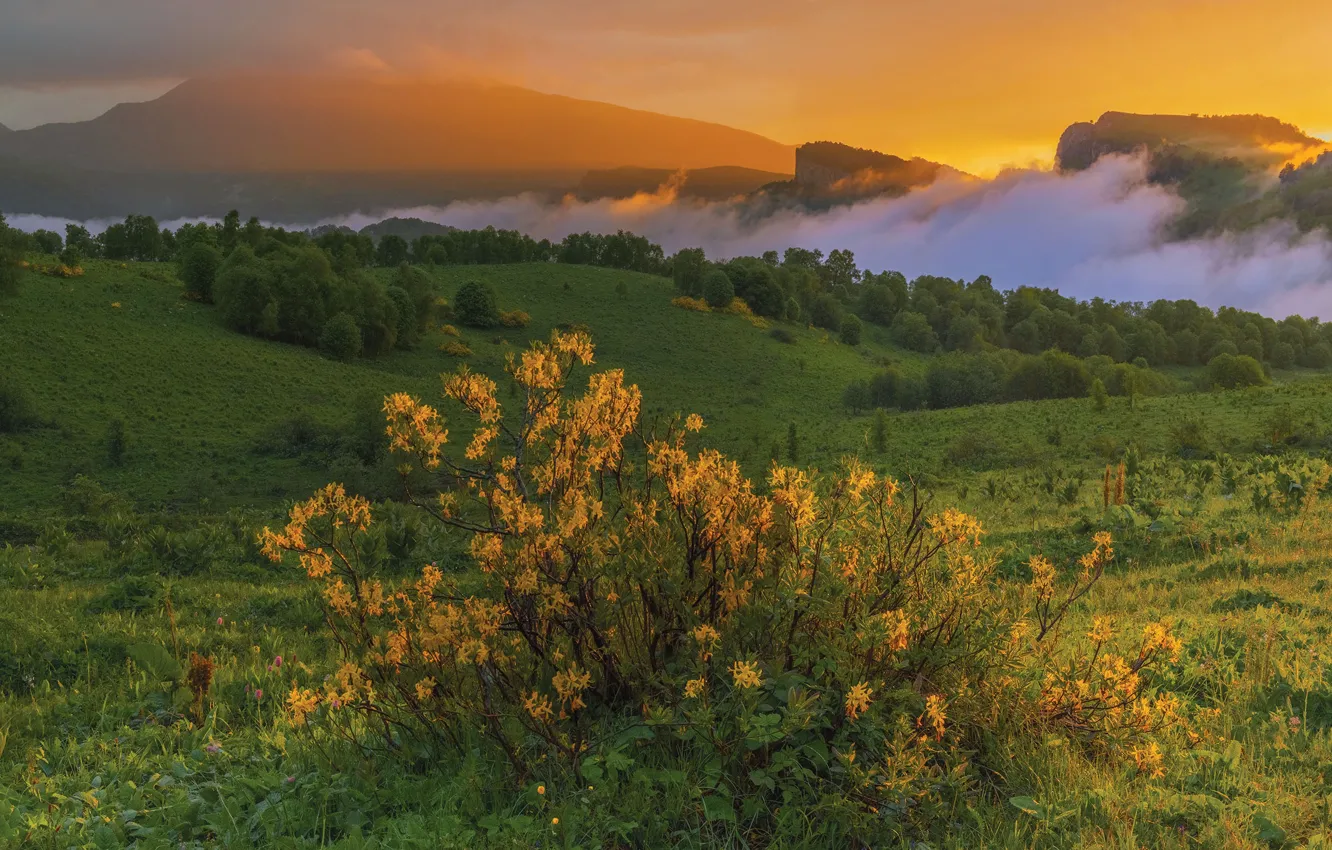Photo wallpaper clouds, landscape, sunset, mountains, nature, meadow, The Caucasus, Vladimir Ryabkov