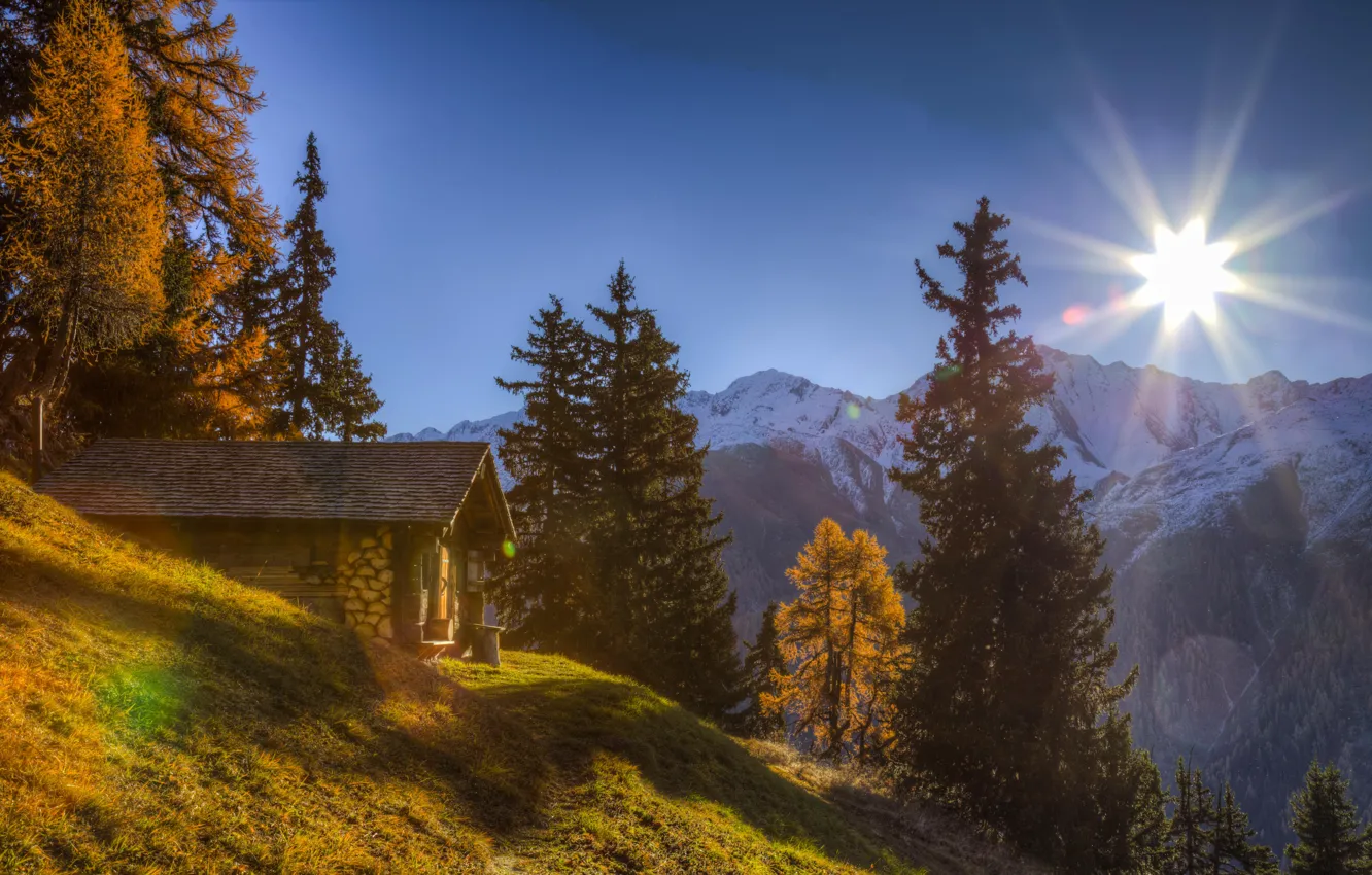 Photo wallpaper trees, mountains, Switzerland, Alps, house, Switzerland, Alps