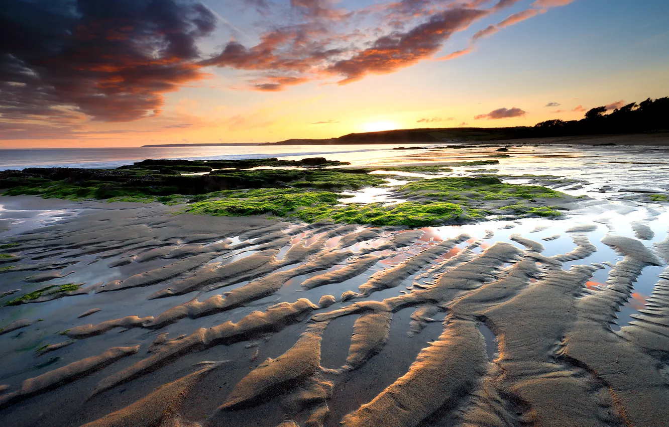 Photo wallpaper sea, the sky, clouds, the evening, tide