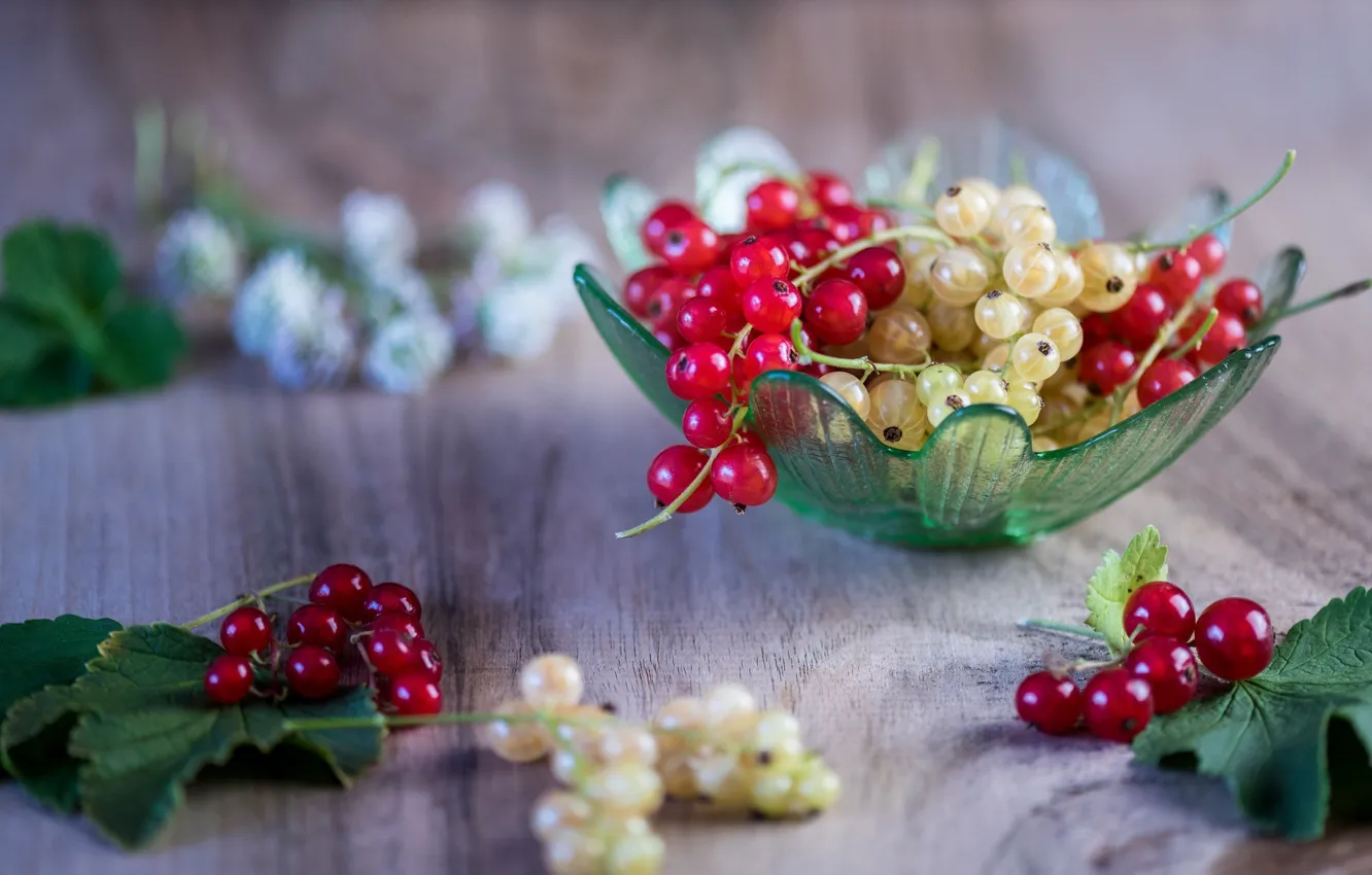 Photo wallpaper berries, currants, leaves, delicious, twigs, ripe