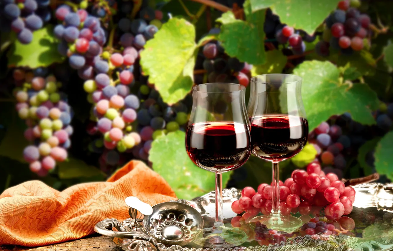 Photo wallpaper leaves, branches, wine, red, glasses, grapes, tray