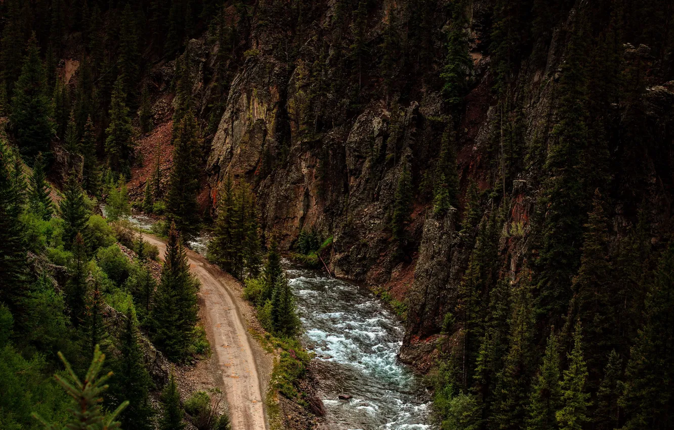 Photo wallpaper road, forest, trees, landscape, mountains, nature, river, stones