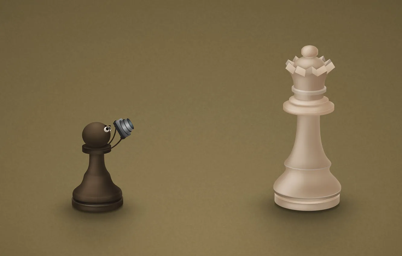 Photo wallpaper Chess, pawn, cameras