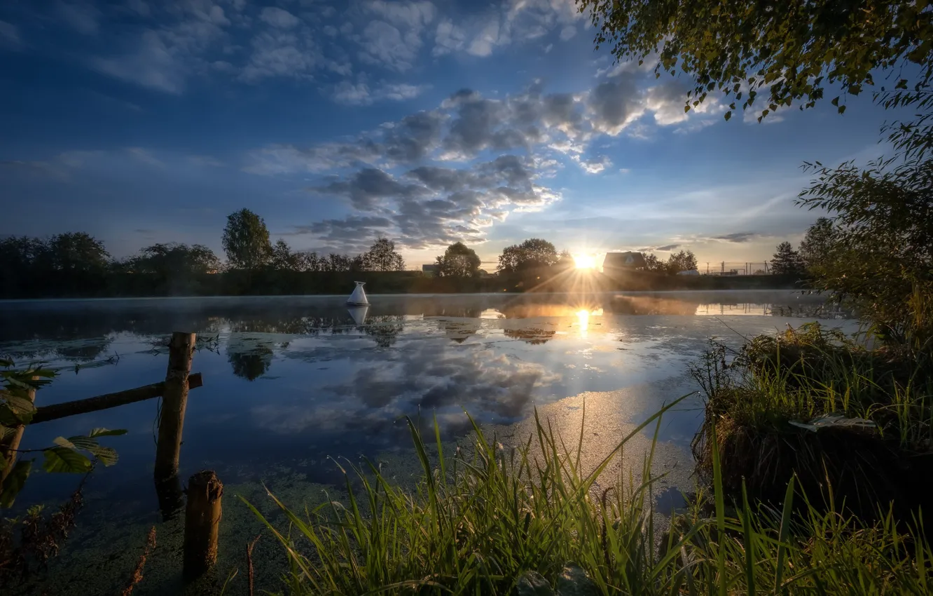 Photo wallpaper grass, the sun, rays, trees, landscape, nature, reflection, river