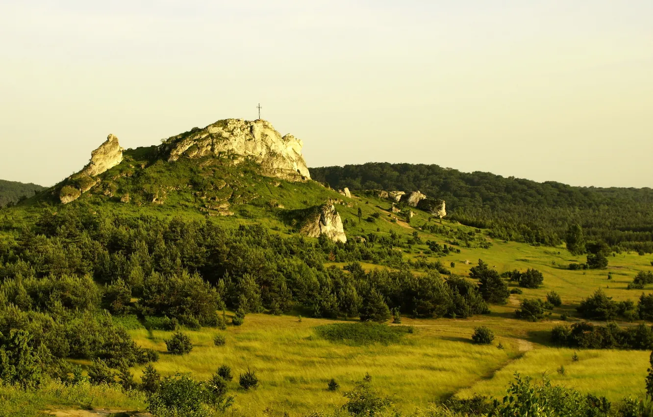 Photo wallpaper landscape, nature, mountain, Poland, Gmina, Tatrzanska, Bukowina