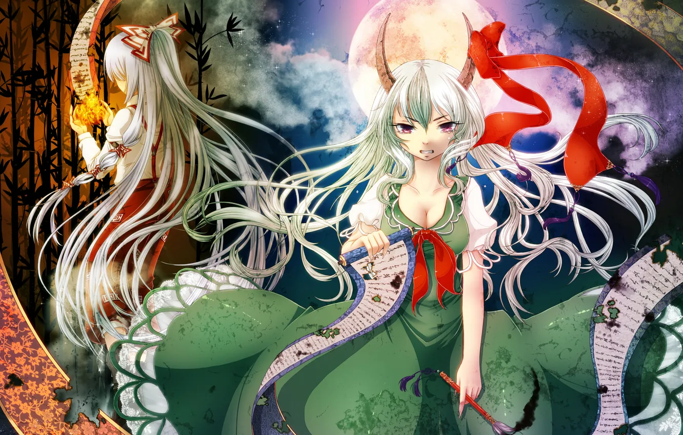 Photo wallpaper girl, lights, the moon, hole, bamboo, tears, art, horns