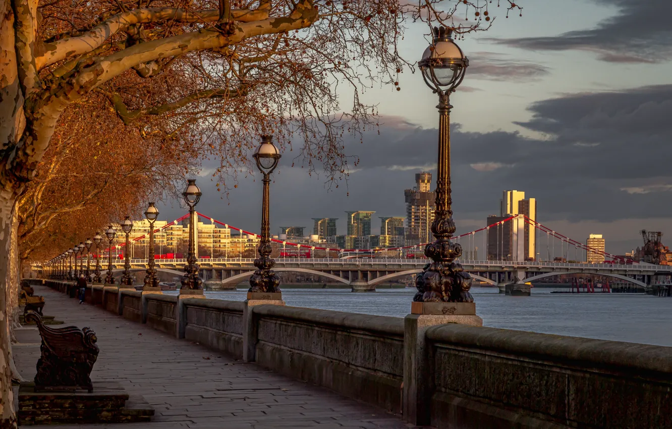 Photo wallpaper trees, bridge, river, England, London, lights, promenade, London
