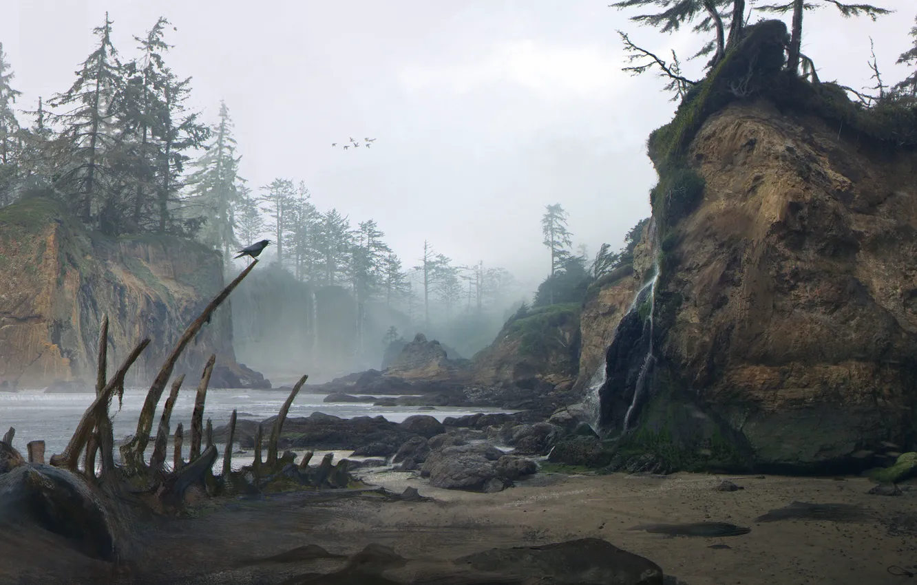 Photo wallpaper river, rocks, the remains, bones, Quiet coast, Environment Concept