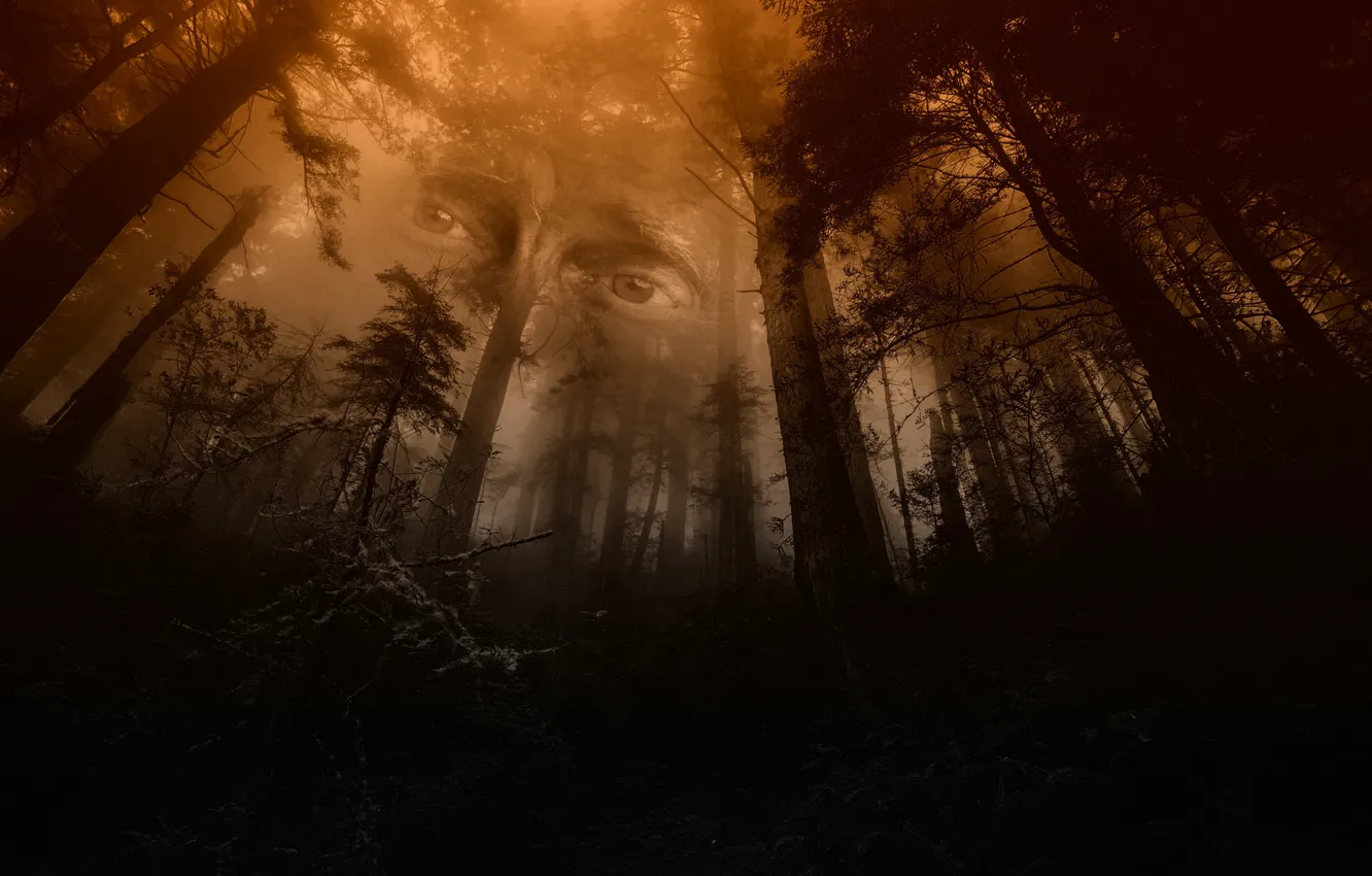 Photo wallpaper forest, eyes, mystic, the spirit of the forest