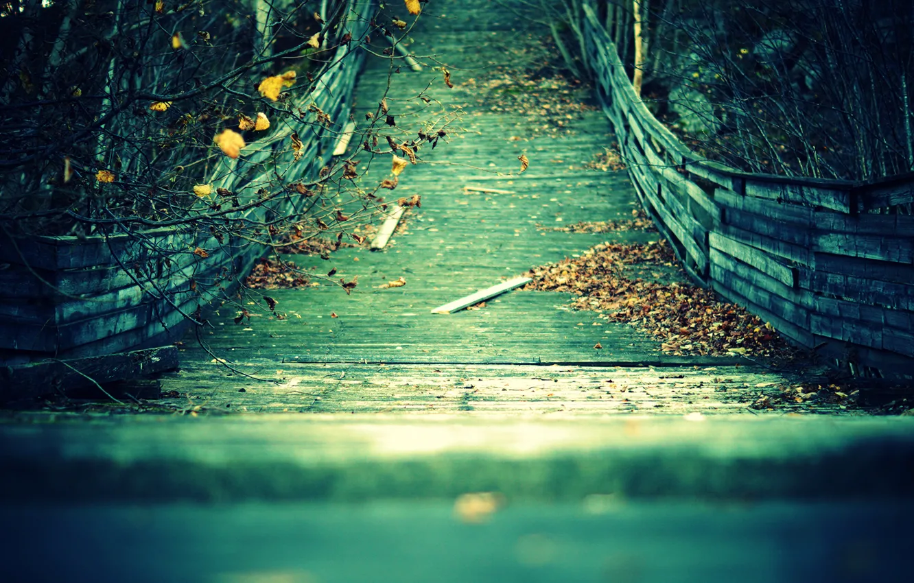 Photo wallpaper autumn, leaves, branches, bridge, Board, yellow