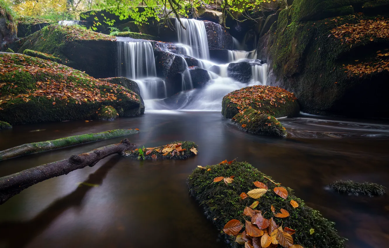 Photo wallpaper autumn, leaves, river, stones, France, waterfall, cascade, France