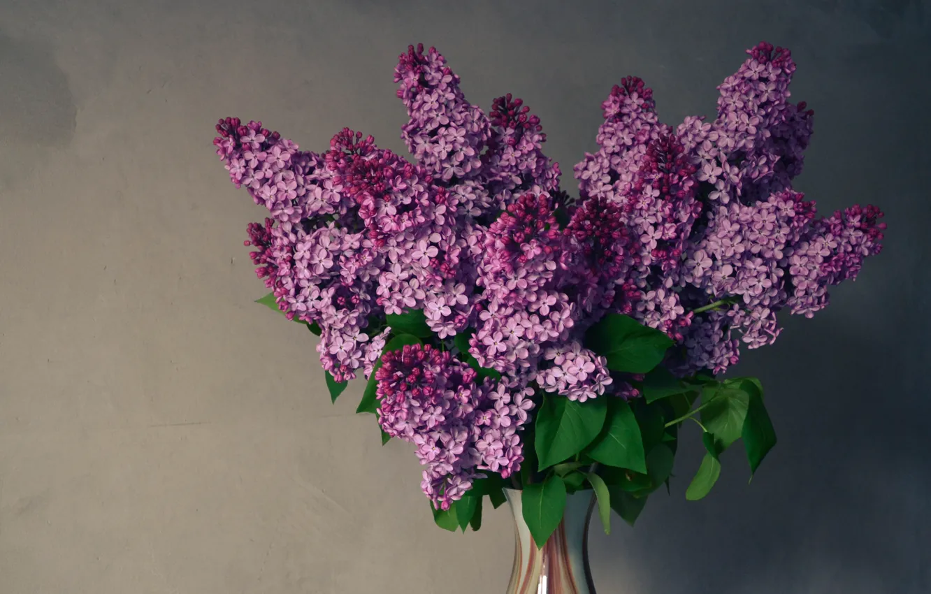 Photo wallpaper purple, flowers, green, may, lilac, spring mood, a bouquet of lilacs